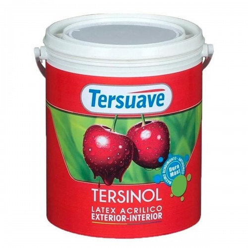TERSINOL INTERIOR x 4 Lts. - TERSUAVE