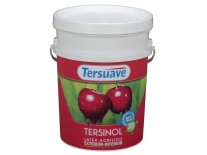 TERSINOL EXTERIOR-INTERIOR x 10 Kgs. - TERSUAVE